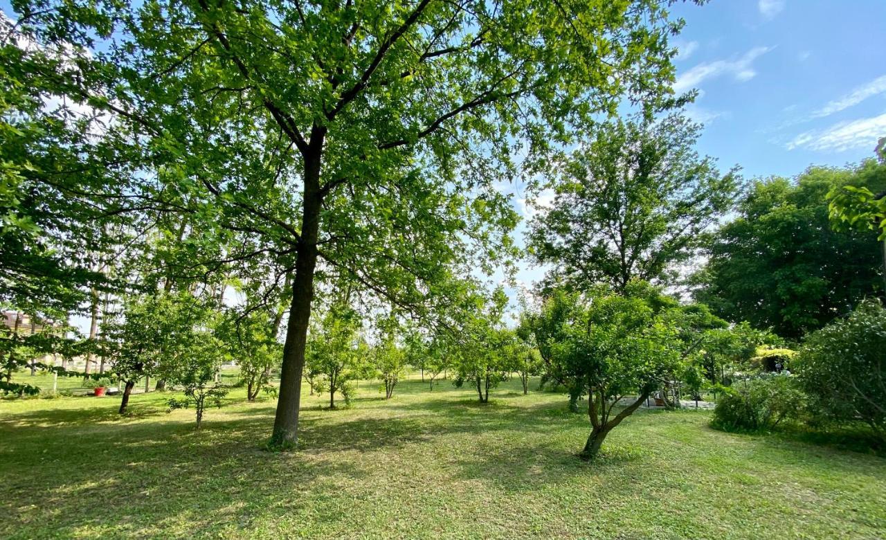 Locanda Del Molino Vecchio Magliano Alfieri Luaran gambar